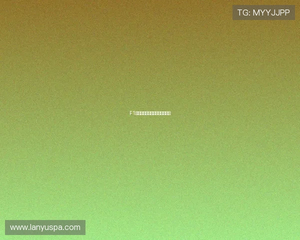 F1赛事推动体育旅游产业快速发展 F1赛事推动体育旅游产业快速发展